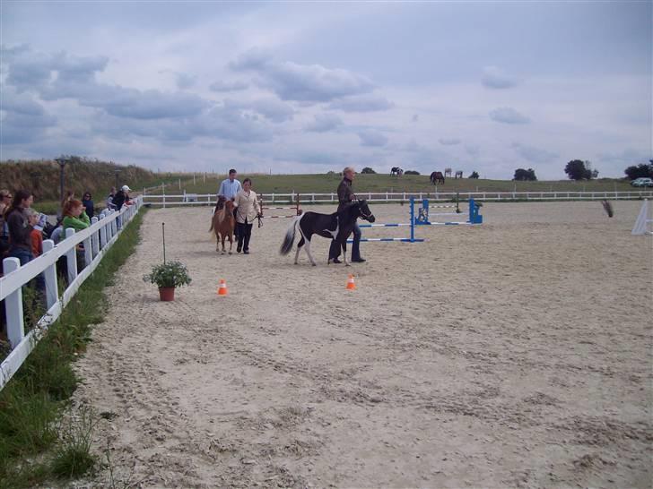 Vores tur til Rosenkilde Gods idag  billede 24