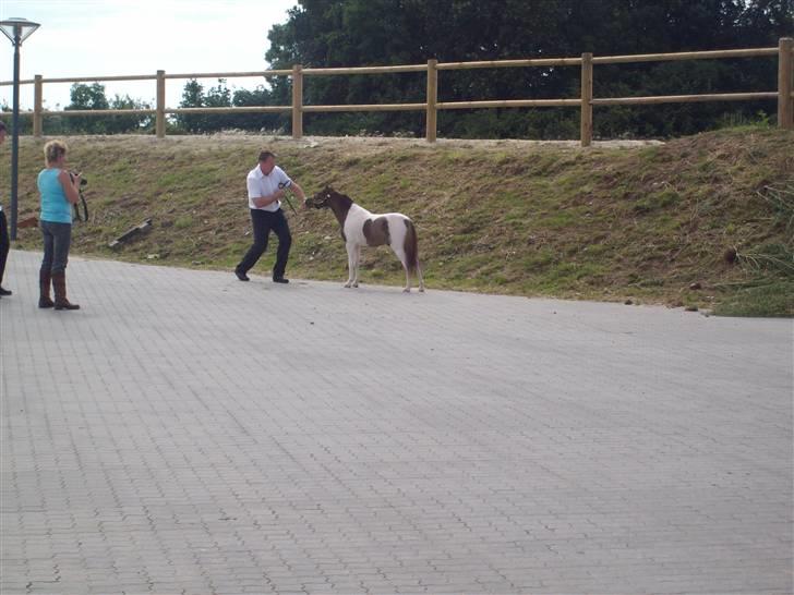 Vores tur til Rosenkilde Gods idag  billede 26