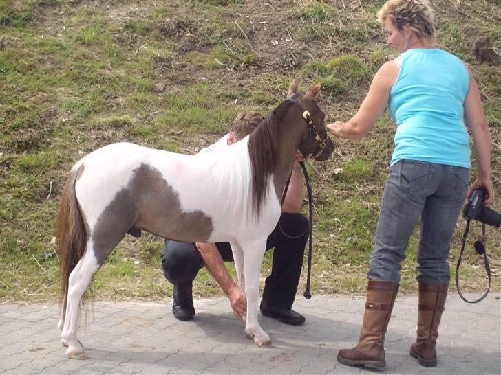 Vores tur til Rosenkilde Gods idag  billede 27