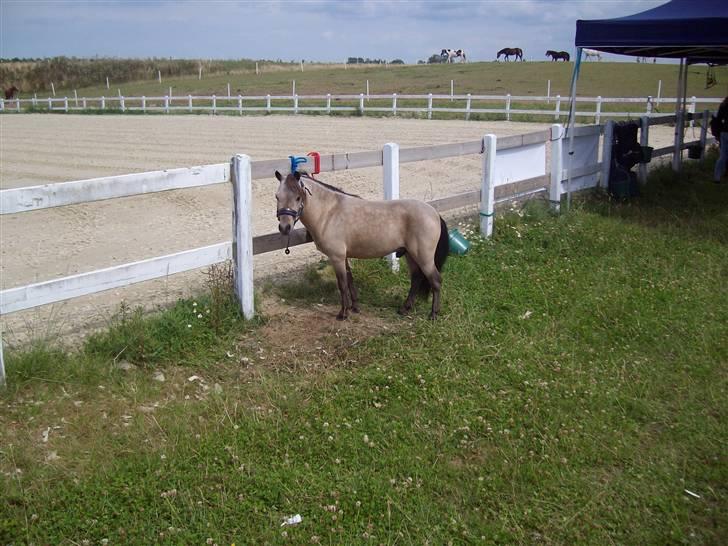 Vores tur til Rosenkilde Gods idag  billede 28