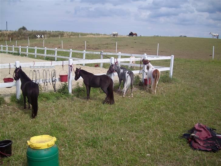 Vores tur til Rosenkilde Gods idag  billede 29