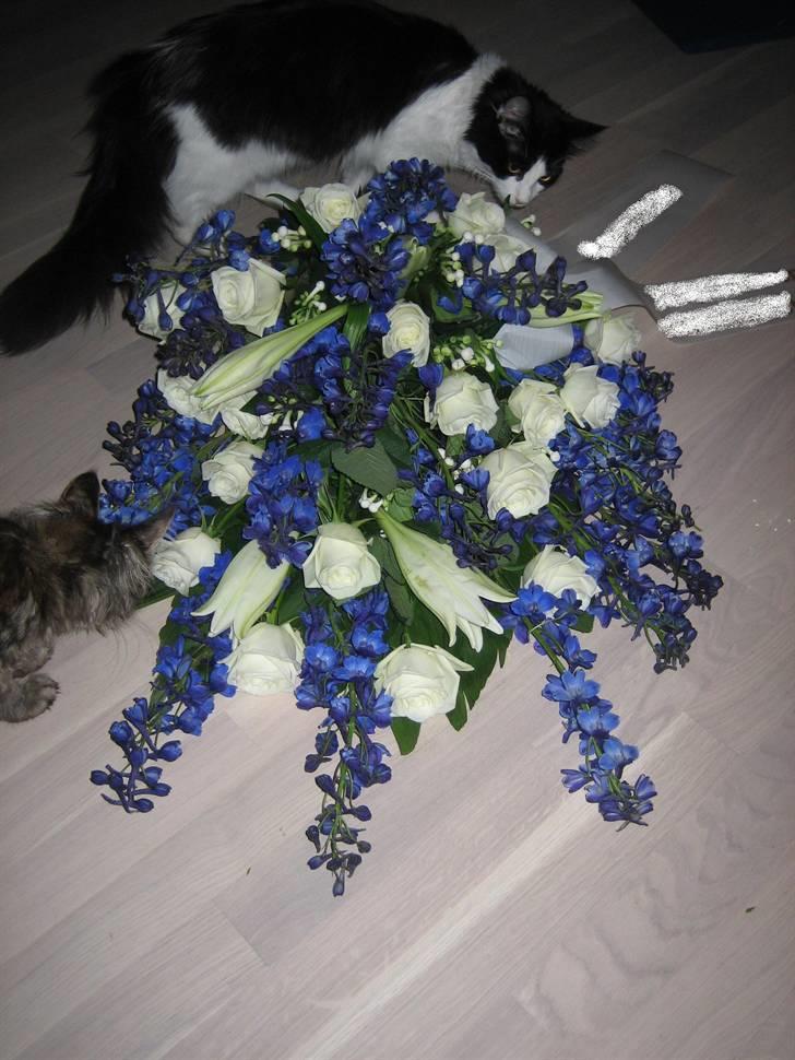 Blomster jeg har lavet. billede 1