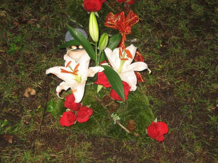 Blomster jeg har lavet. billede 87