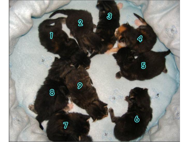 {{currentPhoto.altText}} billede {{currentPhoto.number}}