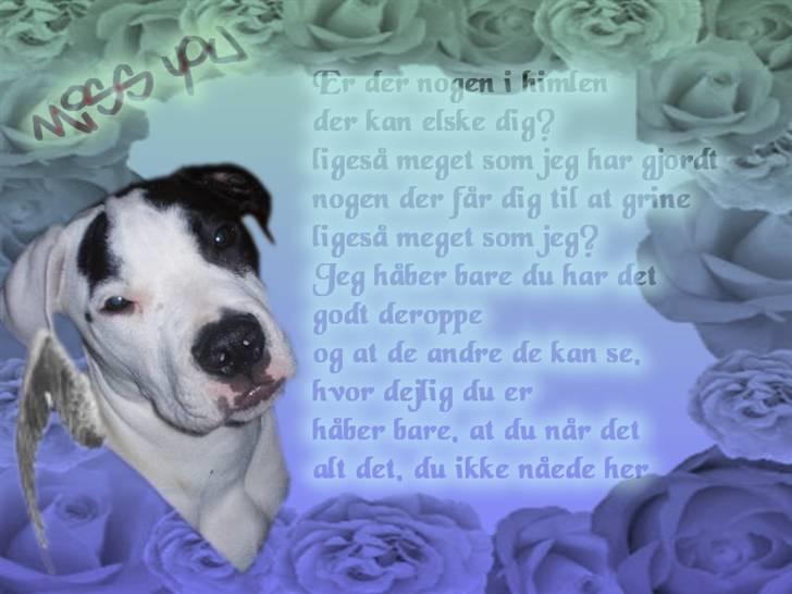 Billedleg og tegninger :) - Min venindes afdøde hund billede 8