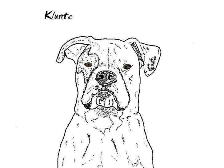 Billedleg og tegninger :) - En tegning til min veninde af den ene af hendes afdøde hunde. Denne tegning er blevet brugt til hendes tatovering. billede 17