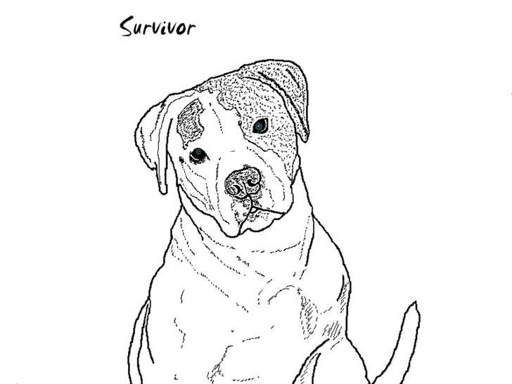 Billedleg og tegninger :) - Også til min veninde af hendes anden afdøde hund. Denne er også blevet brugt til en tatovering. billede 18