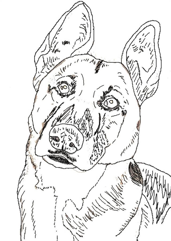 Billedleg og tegninger :) - Min morbrors hund Sussi. Opdagede først efter den var lagt ind, at den ikke er færdig.. :) billede 19