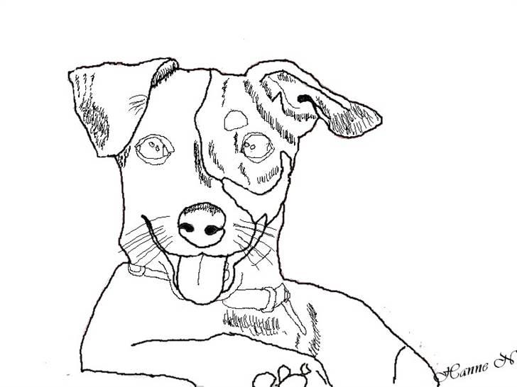 Billedleg og tegninger :) - Den allerførste stregtegning jeg nogensinde lavede. Det er Hanne N's hund Dina. Dengang farvede jeg ikke øjnene, og lavede ikke lige så mange detaljer som nu. :) billede 32