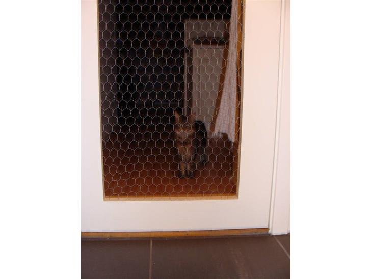 {{currentPhoto.altText}} billede {{currentPhoto.number}}