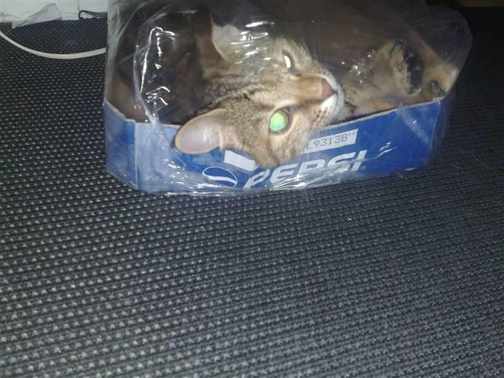 I pepsi kasse billede 7