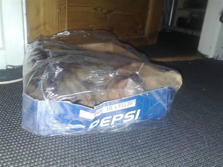 I pepsi kasse billede 11