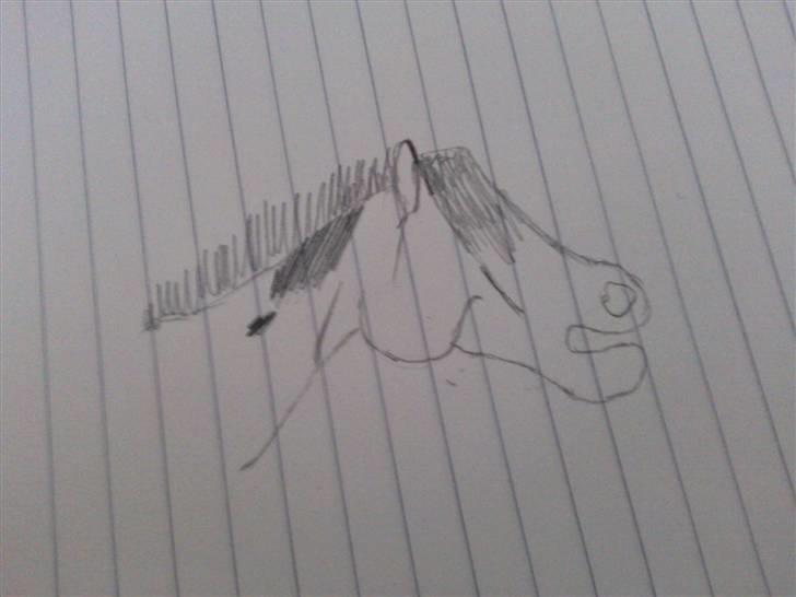 Tegninger. - Shetlænderen Anton ^^ (Min søsters) billede 2