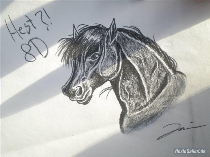 Lidt nyere tegninger :) - Bare en hest? :D billede 4