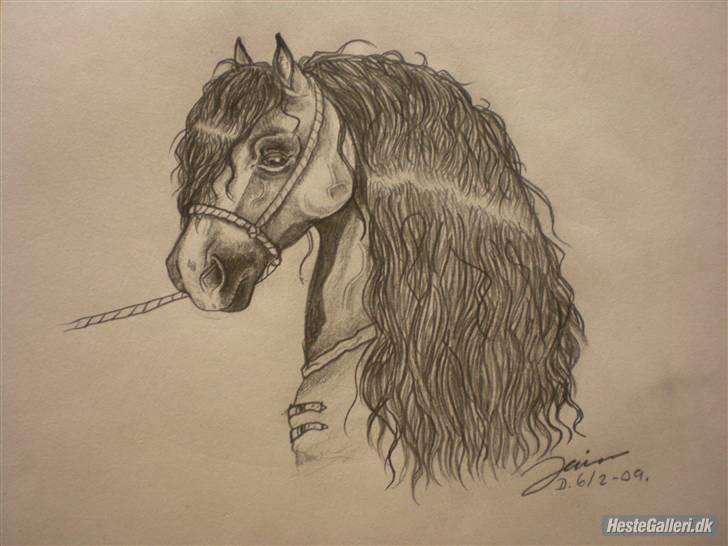 Lidt nyere tegninger :) - Welsh pony. billede 6
