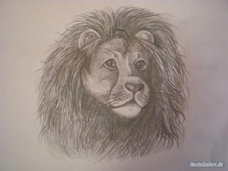 Lidt nyere tegninger :) - Lion ;) billede 10