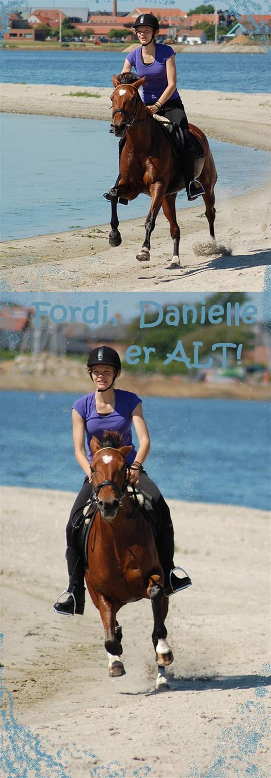 Alle mine dyr ! :D - Danielle :)
Standardbred / traver
Pige
fra 1996 billede 4