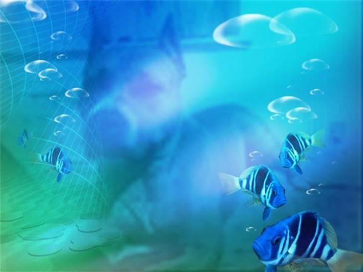 Må du få det godt i hundehimlen min guldklump </3 billede 8