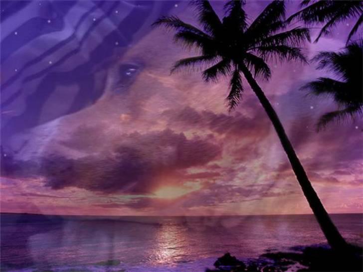 Må du få det godt i hundehimlen min guldklump </3 billede 21