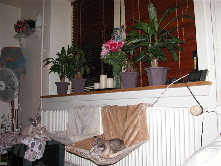 {{currentPhoto.altText}} billede {{currentPhoto.number}}