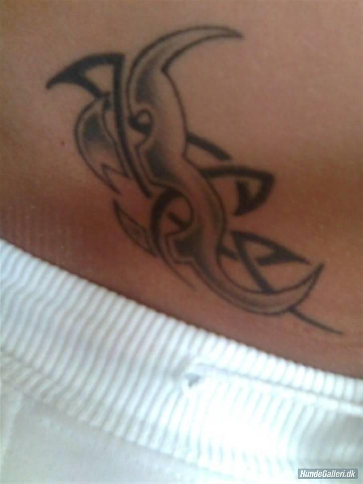 Mit Blæk - Tattoo nr. 1
Placering: Hoften/Lysken
Forestiller: Tribal med skygger
Lavet af: Dennis fra VB Tattoo
Måned/år: 06/06 billede 1