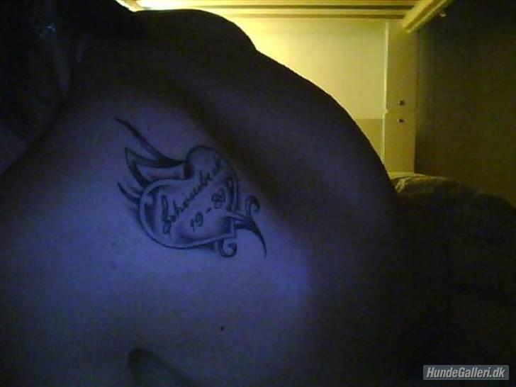 Mit Blæk - Tattoo nr. 4
Placering: Venstre skulderblad
Forestiller: Hjerte, tribal, mit mellemnavn, mit fødselsår og skygger lavet i fri hånd
Lavet af: Dennis fra VB Tattoo
Måned/år: 03/08 billede 4