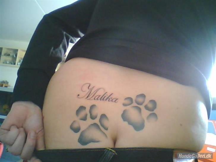Mit Blæk - Tattoo nr. 8 + 3 Sammen
Placering: Lænden
Forestiller: Min hunds navn, Malika. Det betyder Dronning på Arabisk
Lavet af: Dennis fra VB Tattoo
Måned/år: 01/09 billede 8