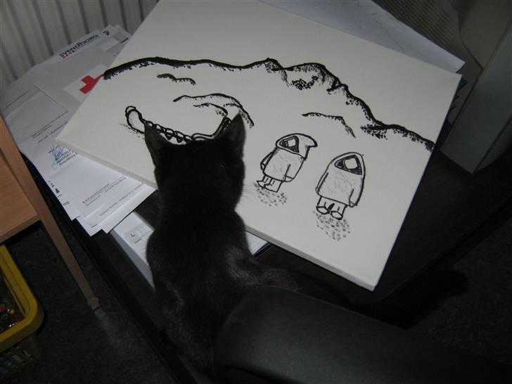 Kreativ - Miv tjekker det ud og godkender det billede 15