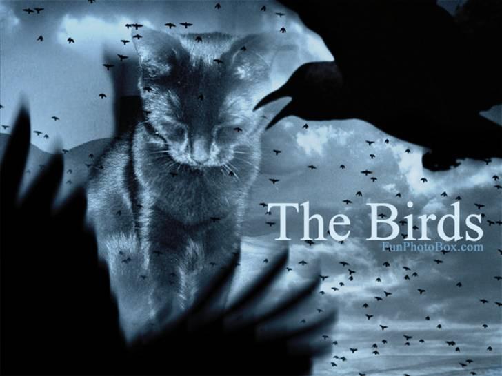 Kreativ - Mere billedeleg billede 24