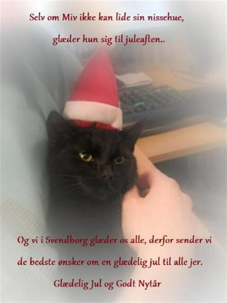 Kreativ - Billedeleg billede 25