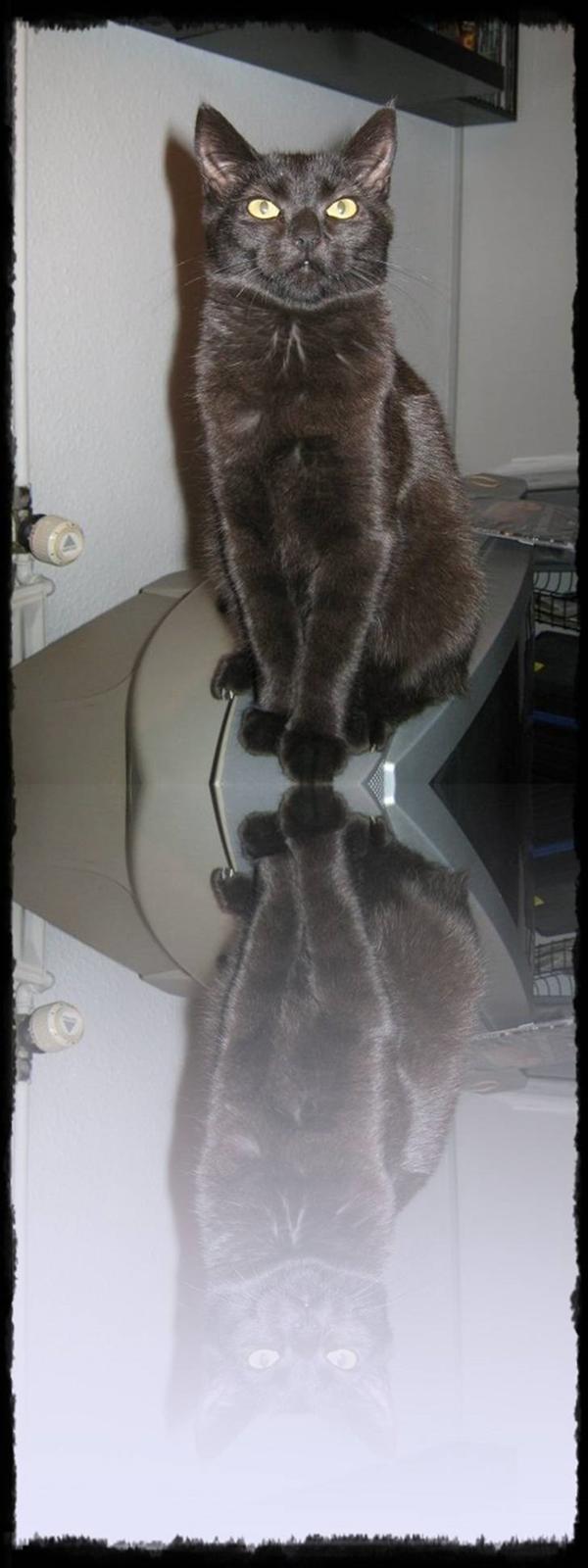 Kreativ - Billede leg billede 26