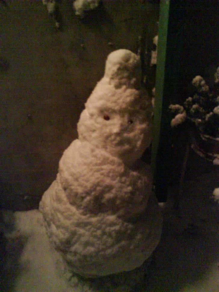 Kreativ - Snemand billede 35