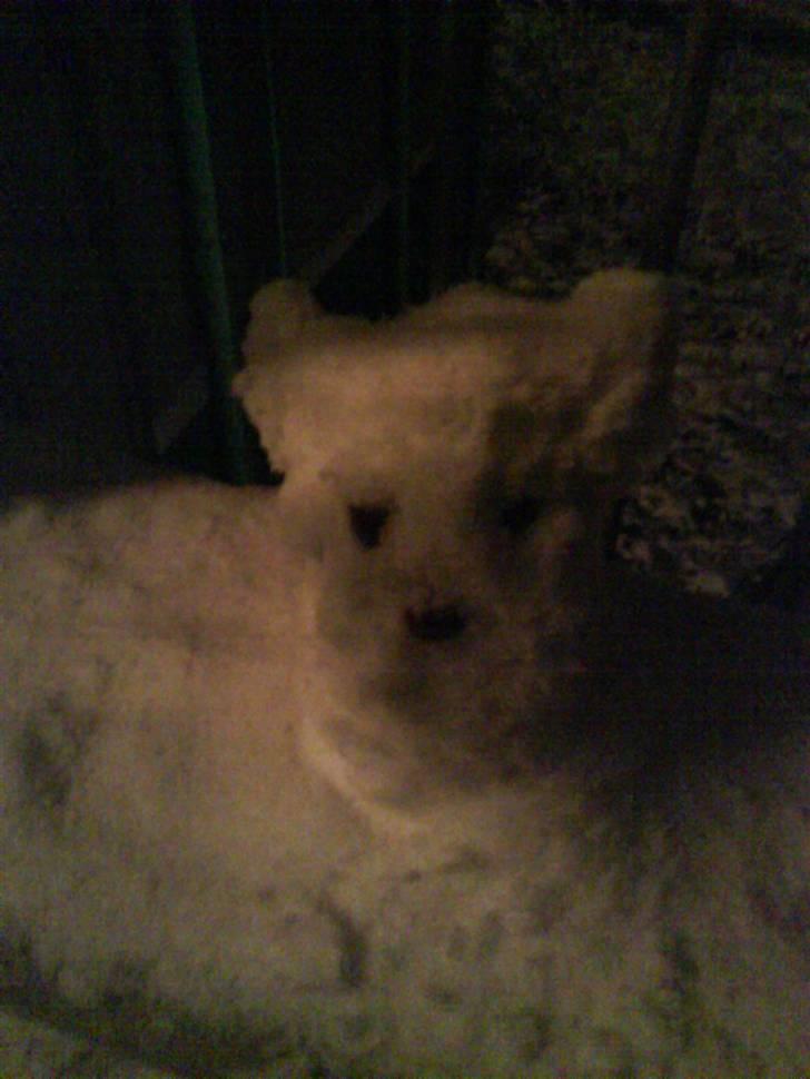 Kreativ - Snemandens huns :) billede 36