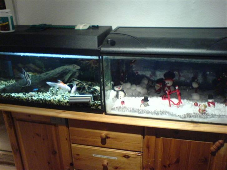 Kreativ - Vinter landskab i arkvarie væk fra poter og små fingere billede 46