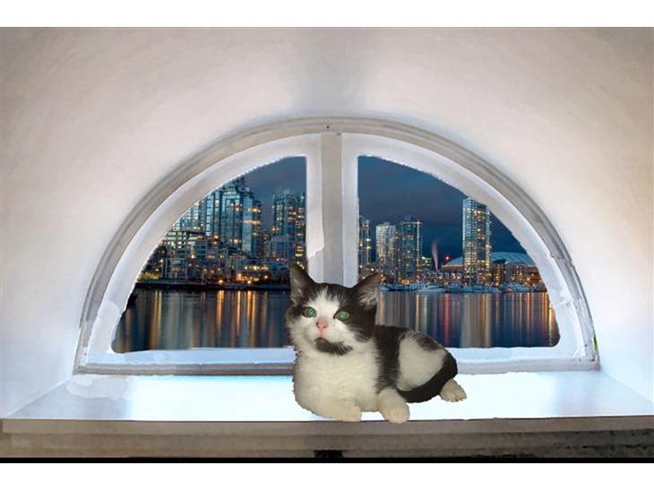 {{currentPhoto.altText}} billede {{currentPhoto.number}}