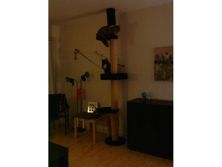 {{currentPhoto.altText}} billede {{currentPhoto.number}}