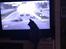 Feline ser TV - Her er hun stået tidlig op for at se Formel 1 sammen med Moar:)