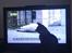 Feline ser TV