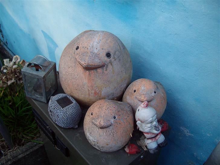 Vintergækker og Anemoner  billede 51