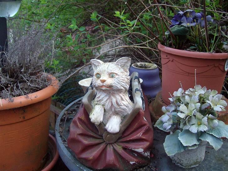 Vintergækker og Anemoner  billede 52