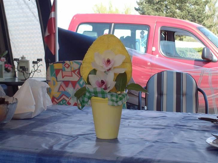 Vintergækker og Anemoner  billede 55