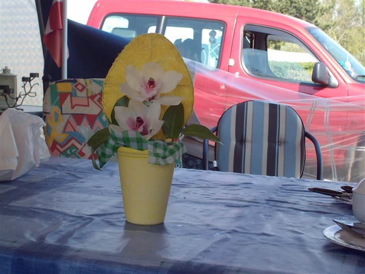 Vintergækker og Anemoner  billede 56