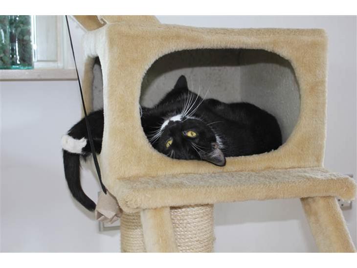 {{currentPhoto.altText}} billede {{currentPhoto.number}}