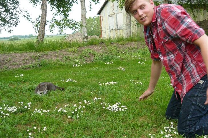 Bamse - Bamse og Jelle billede 16