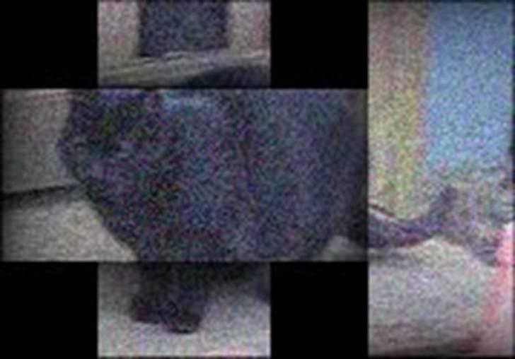 Manipulerede billeder (for andre) - Lavet for Cathrine B billede 1