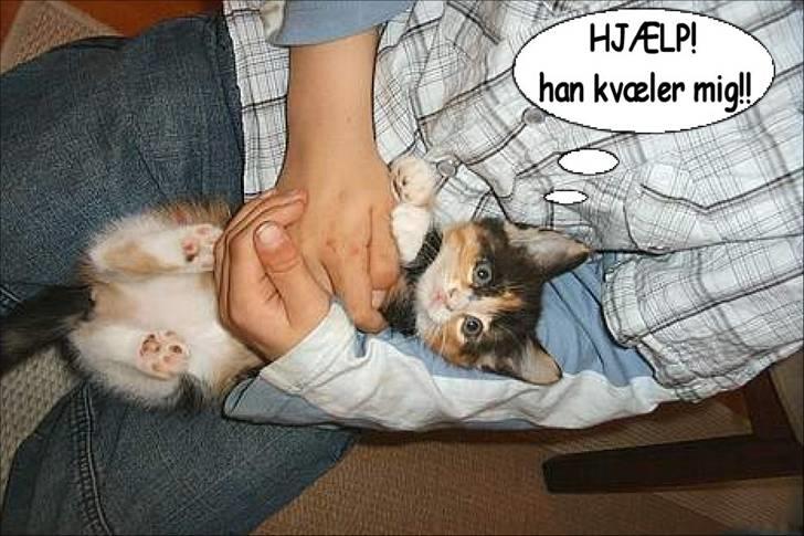 Manipulerede billeder (for andre) - Lavet for Cathrine B billede 4