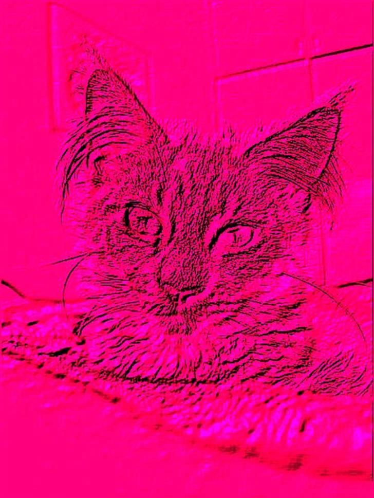Manipulerede billeder (for andre) - Lavet for * LenA * B billede 15