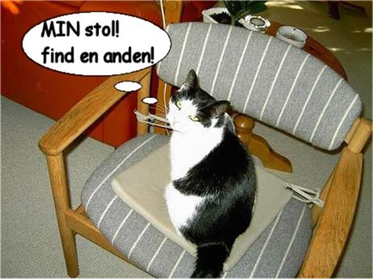 Manipulerede billeder (for andre) - Lavet for * LenA * B billede 19