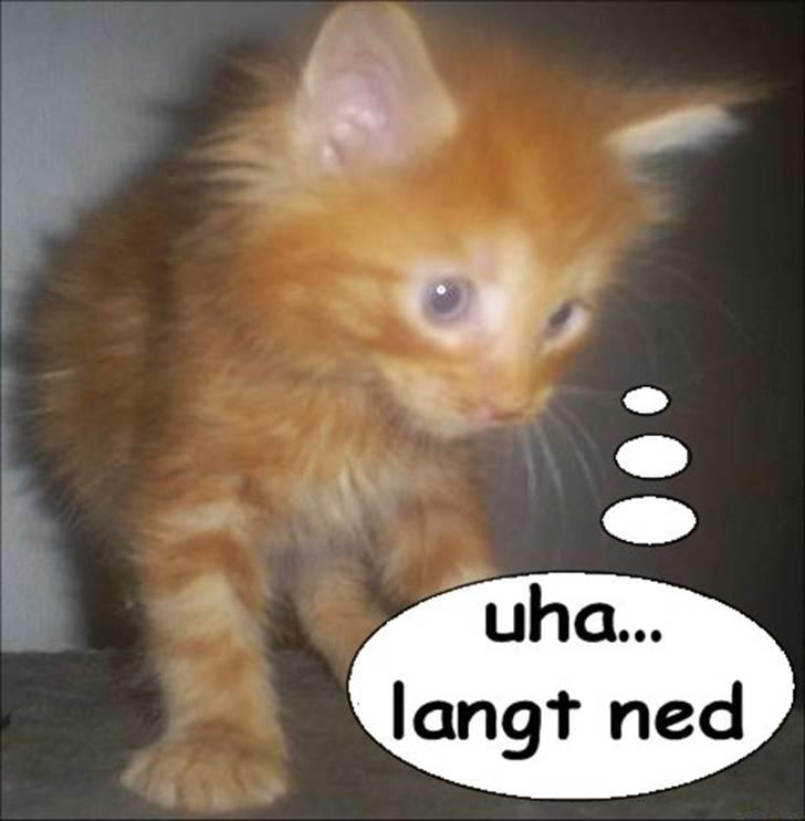 Manipulerede billeder (for andre) - Lavet for diamonds S billede 23
