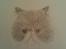 Katte - Felix